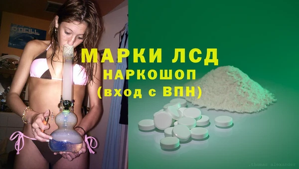 гашик Белокуриха
