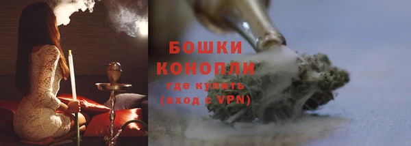 гашик Белокуриха