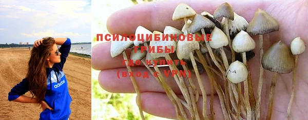 трава Беломорск