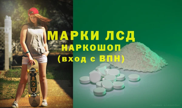трава Беломорск