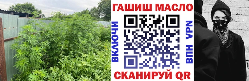 omg ссылки  Велиж  ТГК концентрат 