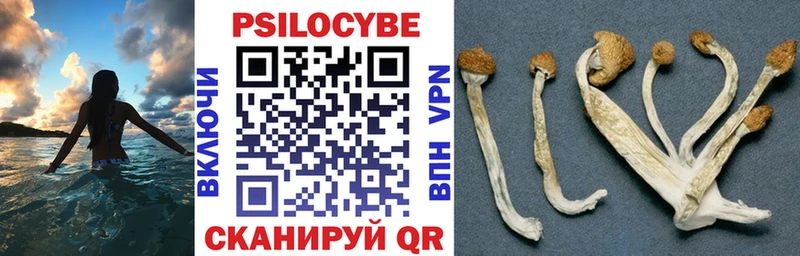Галлюциногенные грибы прущие грибы  Велиж 